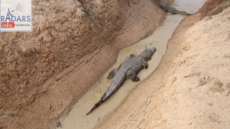 00116.00 03 20 02.Image fixe118