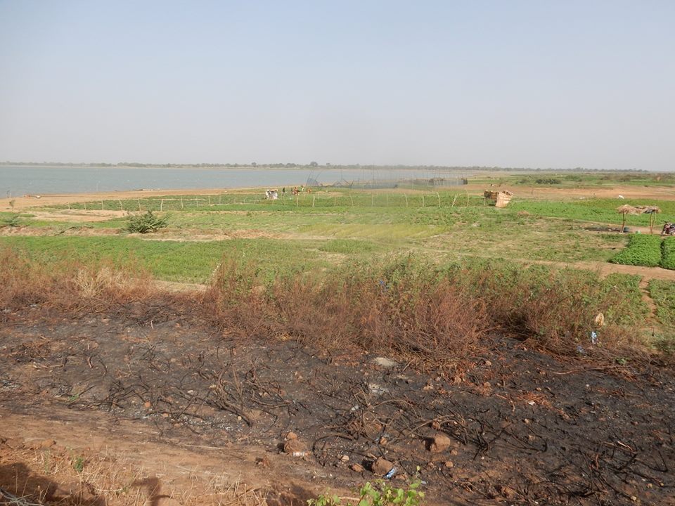 30652223 1548912591904368 8742180952031100928 n