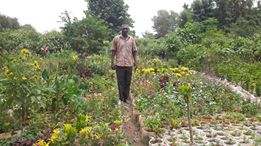 37578121 882723968605083 9048616071052918784 n