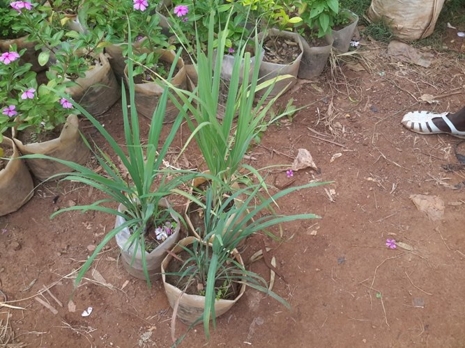 37625707 882723741938439 3139762449339645952 n