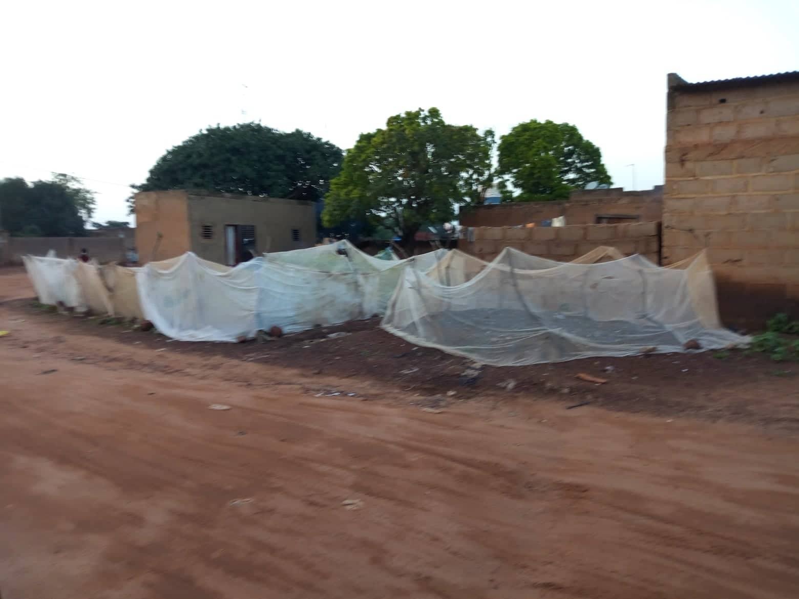 38047757 270020903782660 6016535791923101696 n