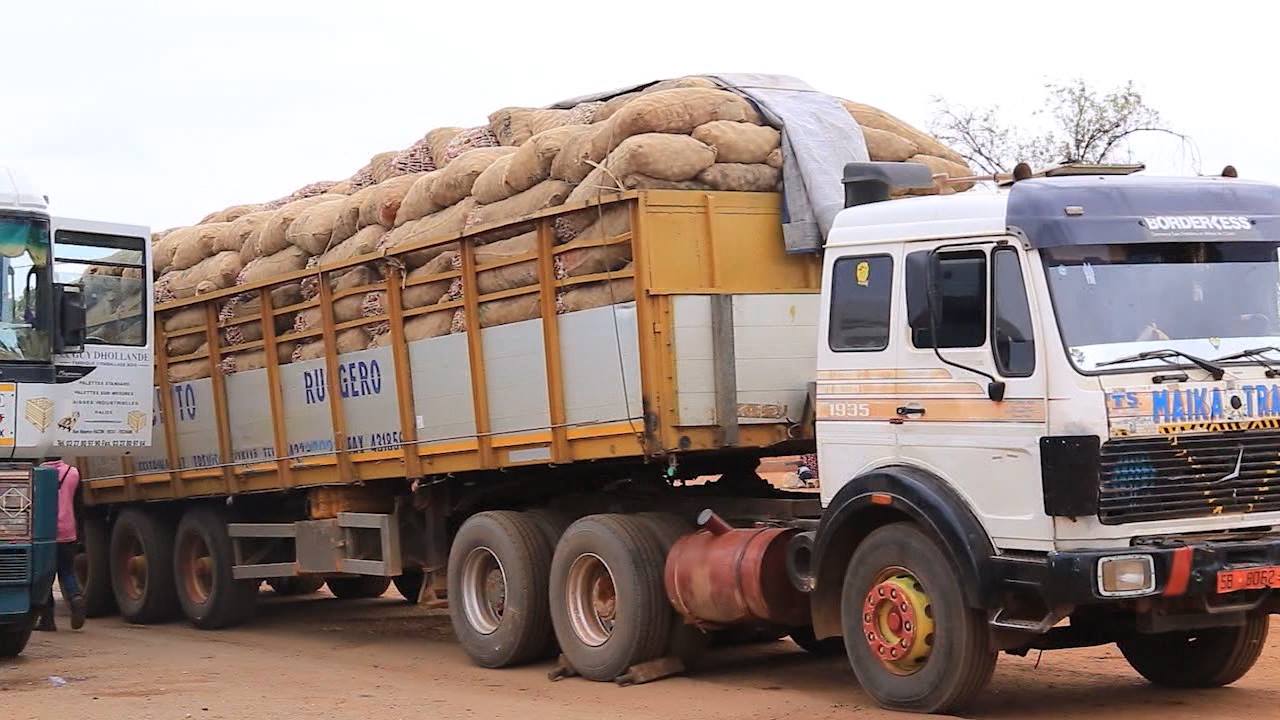 40257878 468260263654698 7541607335030947840 o