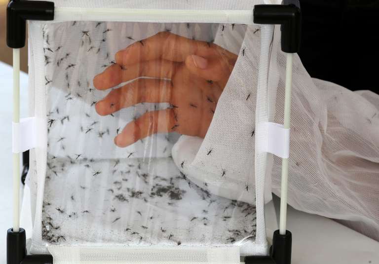 837fde9 15380 1oj6hsw