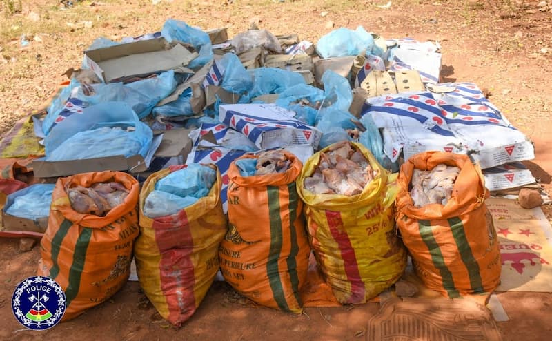 649133511 1245904724390730 7096121336655224537 n 1