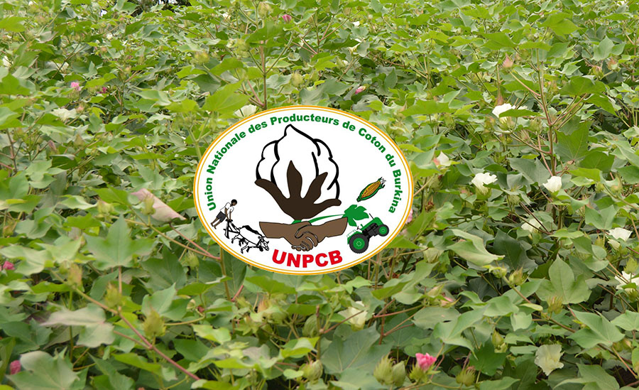 logo UNPCB