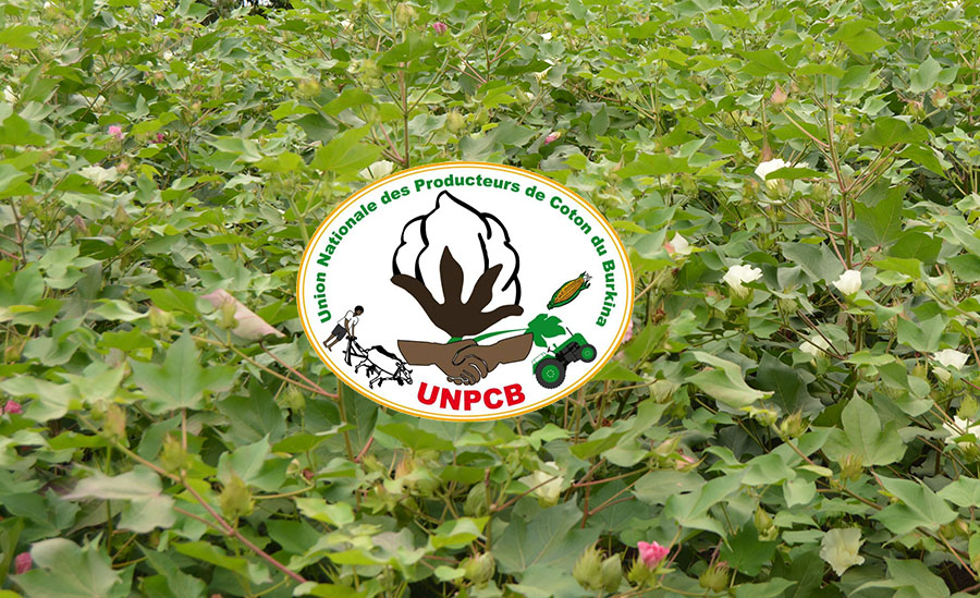 logo unpcb