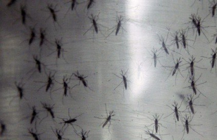 pix 1526460468e084748 1